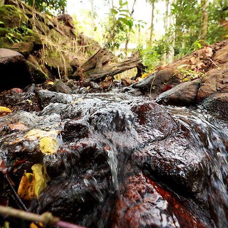 Cave Valley Wayanad Ambalavayal Dış mekan fotoğraf