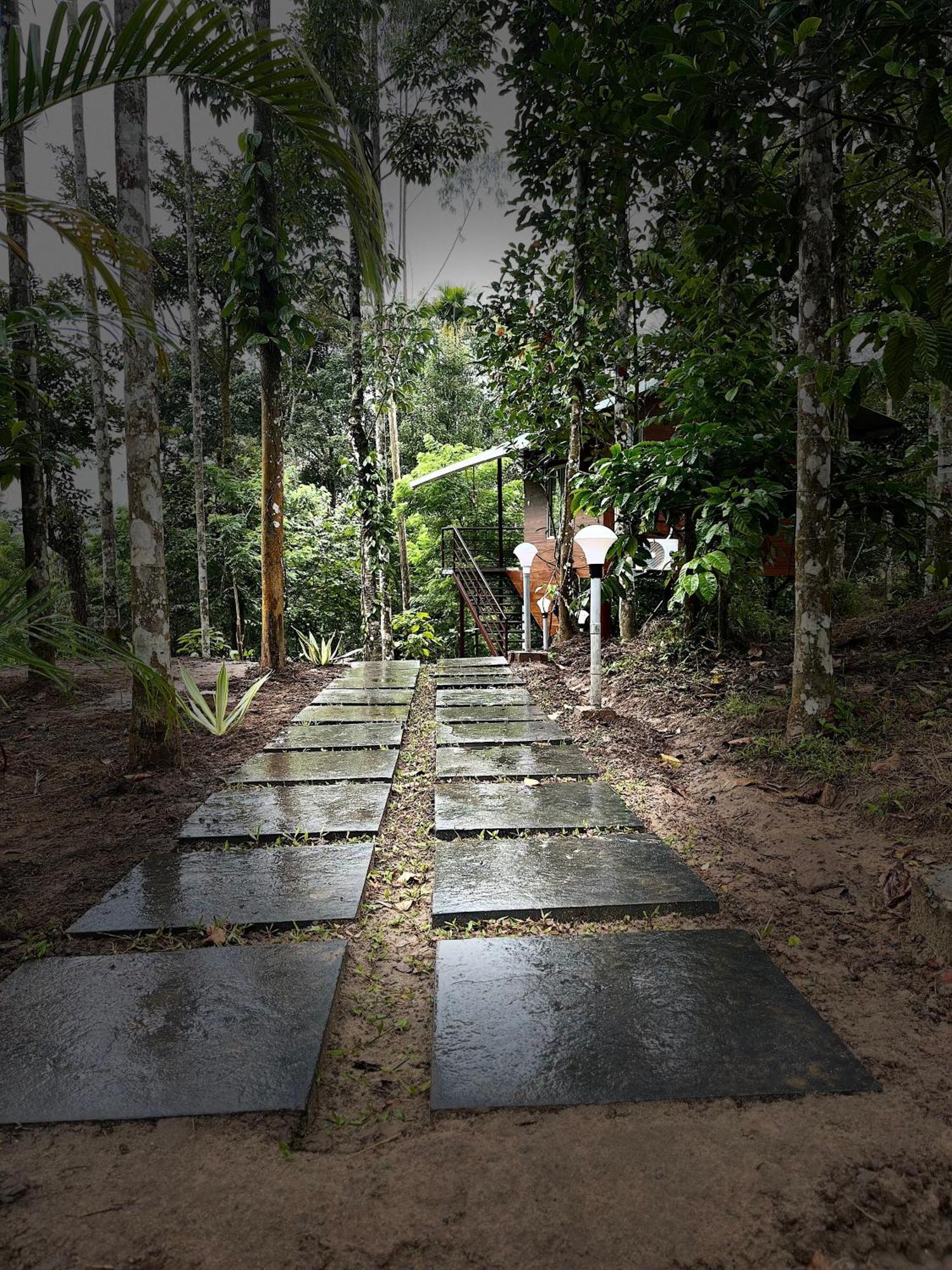 Cave Valley Wayanad Ambalavayal Dış mekan fotoğraf