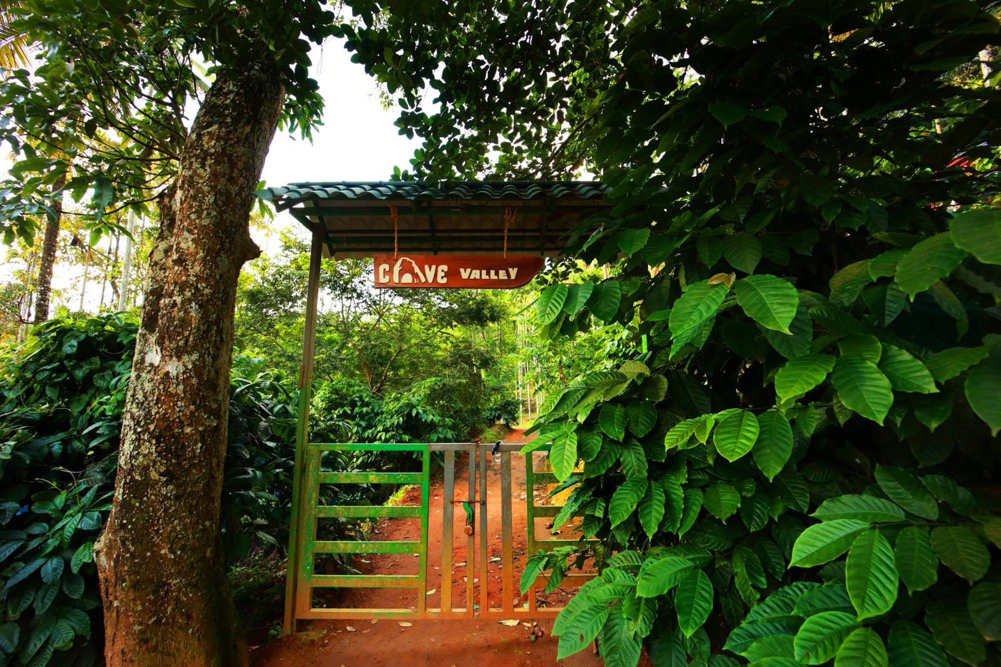 Cave Valley Wayanad Ambalavayal Dış mekan fotoğraf