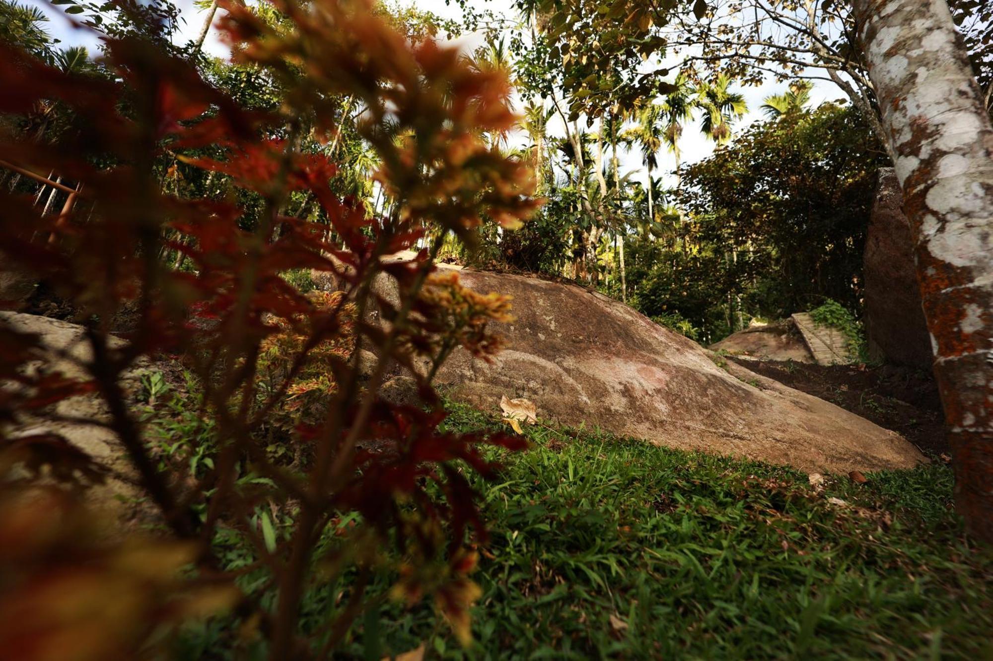 Cave Valley Wayanad Ambalavayal Dış mekan fotoğraf